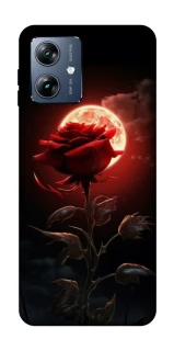Чехол на Motorola Moto G54 Power Красная роза фото 1 из 1