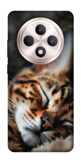 Чехол на Oppo Reno 12 F 4G/5G Cat paws фото 1 из 1