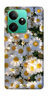 Чехол на Realme GT 7 Поле ромашек фото 1 из 1