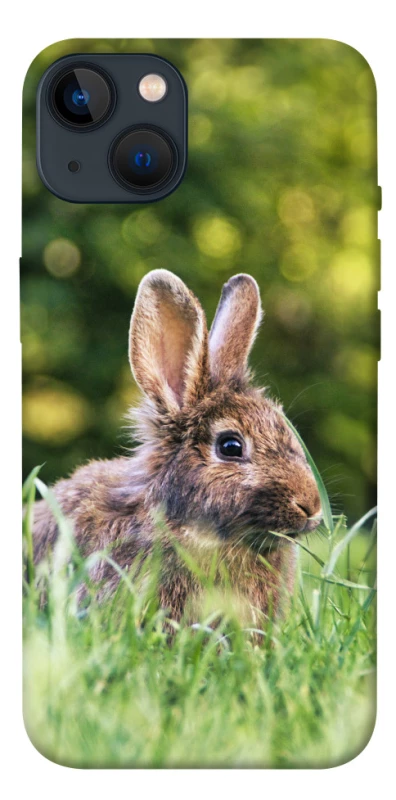 Чехол на Apple iPhone 13 (6.1") Кролики фото 1 из 1