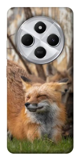 Чехол на Xiaomi Redmi 14C / Poco C75 Лиса фото 1 из 1