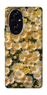 Чохол на Honor 200 Camomile фото 1 з 1
