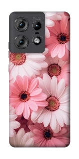 Чехол на Motorola Edge 50 Pro Розовые цветы v2 фото 1 из 1