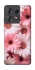 Чехол на Motorola Edge 50 Pro Розовые цветы v2 фото 1 из 1