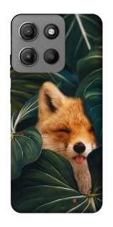 Чехол на Motorola Moto G15 Power Fox фото 1 из 1