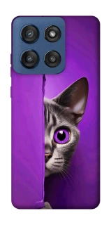 Чохол на Motorola Edge 60 Stylus Кіт-підглядач фото 1 з 1