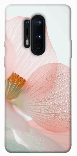 Чохол на OnePlus 8 Pro Flowers zon фото 1 з 1