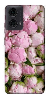 Чохол на Motorola Moto G24 Nature’s Elegance фото 1 з 1