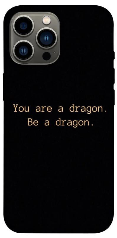 Чехол на Apple iPhone 12 Pro Max (6.7") House of the Dragon ver.9 фото 1 из 1