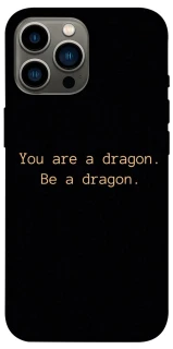 Чехол на Apple iPhone 12 Pro Max (6.7") House of the Dragon ver.9 фото 1 из 1