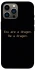 Чехол на Apple iPhone 12 Pro Max (6.7") House of the Dragon ver.9 фото 1 из 1