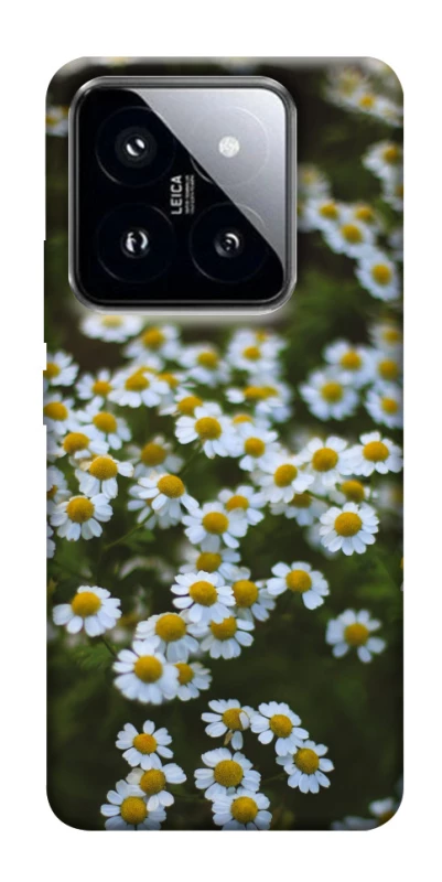 Чехол на Xiaomi 14 Pro Ромашки v13 фото 1 из 1