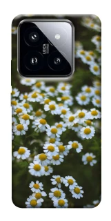 Чохол на Xiaomi 14 Pro Ромашки v13 фото 1 з 1
