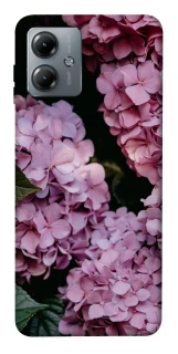 Чехол на Motorola Moto G14 Розовые гартензии фото 1 из 1