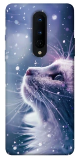 Чохол на OnePlus 8 Snow cat фото 1 з 1