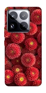 Чохол на Xiaomi 15 Pro Midnight1 фото 1 з 1