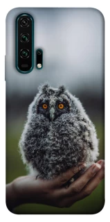 Чохол на Huawei Honor 20 Pro Совеня фото 1 з 1