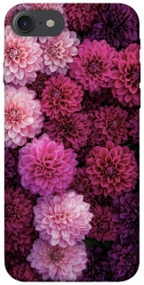 Чохол на Apple iPhone 7 / 8 (4.7") Garden1 фото 1 з 1