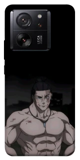 Чехол на Xiaomi 13T Pro Todo фото 1 из 1