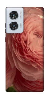 Чохол на Motorola Edge 50 Fusion Elegance фото 1 з 1