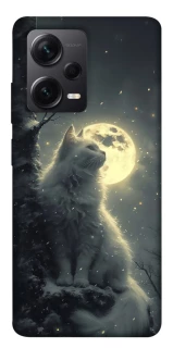 Чехол на Xiaomi Redmi Note 12 Pro 5G Кот под луной фото 1 из 1