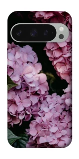 Чохол на Google Pixel 10 Pro XL Рожеві гартензії фото 1 з 1