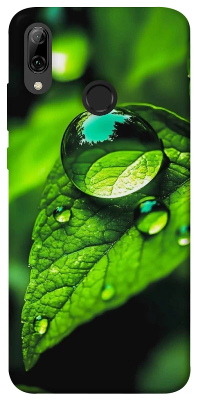 Чехол на Huawei P Smart (2019) Flowers v16 фото 1 из 1