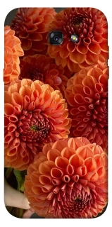 Чохол на Samsung A720 Galaxy A7 (2017) Flower1 фото 1 з 1