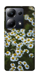 Чехол на Xiaomi Poco M6 Pro 4G Ромашки v13 фото 1 из 1