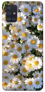 Чехол на Samsung Galaxy A51 Поле ромашек фото 1 из 1