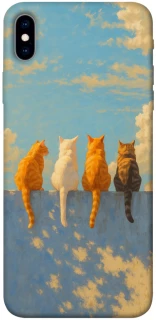 Чехол на Apple iPhone XS Max (6.5") cats on wall фото 1 из 1