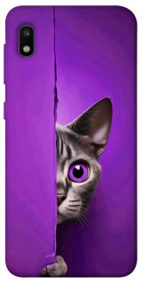 Чохол на Samsung Galaxy A10 (A105F) Кіт-підглядач фото 1 з 1