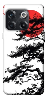 Чехол на OnePlus 10T Дух Японии v2 фото 1 из 1