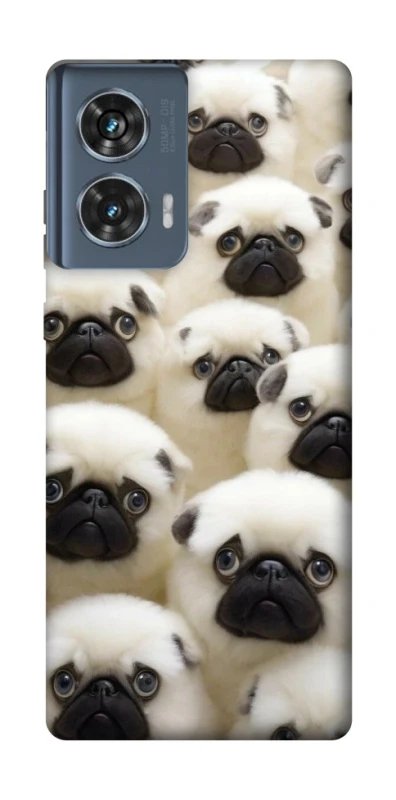 Чохол на Motorola Edge 50 Doggy Pug Love фото 1 з 1