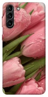 Чохол на Samsung Galaxy S21+ Beauty фото 1 з 1