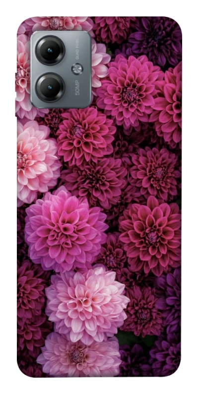 Чохол на Motorola Moto G14 Garden1 фото 1 з 1