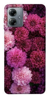 Чехол на Motorola Moto G14 Garden1 фото 1 из 1