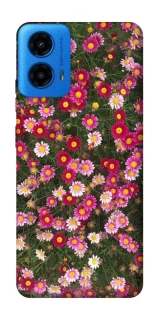 Чохол на Motorola Moto G45 Flowers v8 фото 1 з 1