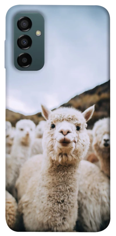 Чохол на Samsung Galaxy M14 5G Лама фото 1 з 1