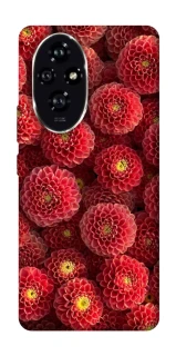 Чохол на Honor 200 Midnight1 фото 1 з 1