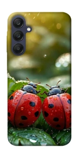 Чехол на Samsung Galaxy A25 5G Flowers v23 фото 1 из 1