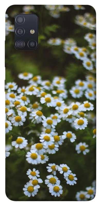 Чехол на Samsung Galaxy M51 Ромашки v13 фото 1 из 1