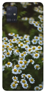 Чехол на Samsung Galaxy M51 Ромашки v13 фото 1 из 1