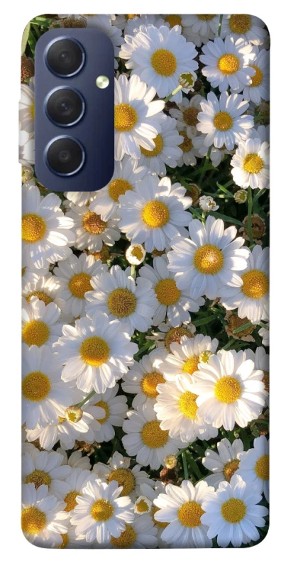 Чохол на Samsung Galaxy M54 5G Поле ромашок фото 1 з 1