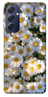 Чохол на Samsung Galaxy M54 5G Поле ромашок фото 1 з 1