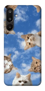 Чохол на Samsung Galaxy M16 5G Сats фото 1 з 1