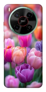 Чохол на ZTE Nubia V70 Max Тюльпанове поле фото 1 з 1