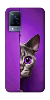 Чохол на Vivo V21 Кіт-підглядач фото 1 з 1