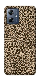 Чохол на Motorola Moto G54 Power Leopard Skin v2 фото 1 з 1