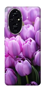 Чехол на Honor 200 Фиолетовые тюльпаны фото 1 из 1